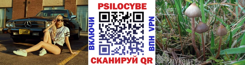 Купить закладки  Слюдянка  Псилоцибиновые грибы мицелий 