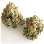 Шишки "White Widow"  (Белая вдова)  Гидропоника -  Бошка VHQ в Слюдянке